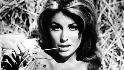 michele carey died